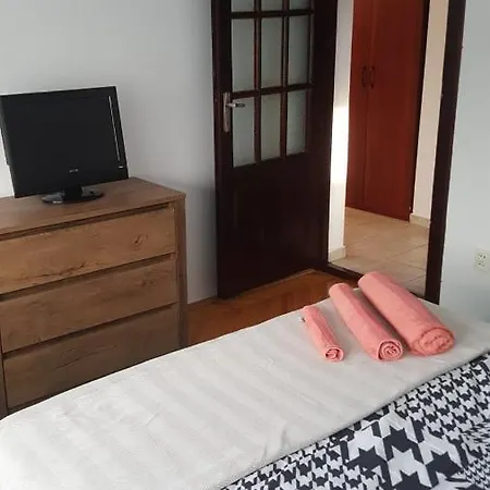 Vega 티미쇼아라