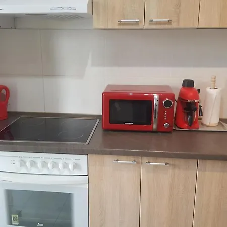 Vega Тимишоара